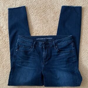 Articles of Society Dark Wash Jeans, size 29